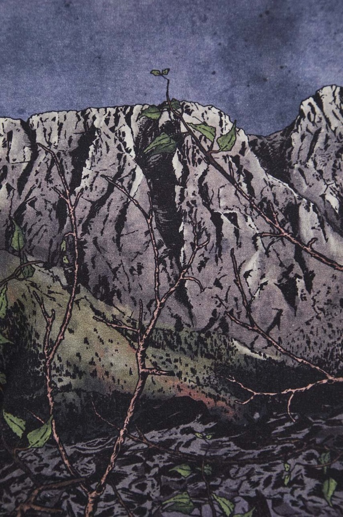 Bavlnené tričko dámske s prímesou elastanu z kolekcie Tatra Legends viac farieb RS24-TSDA63