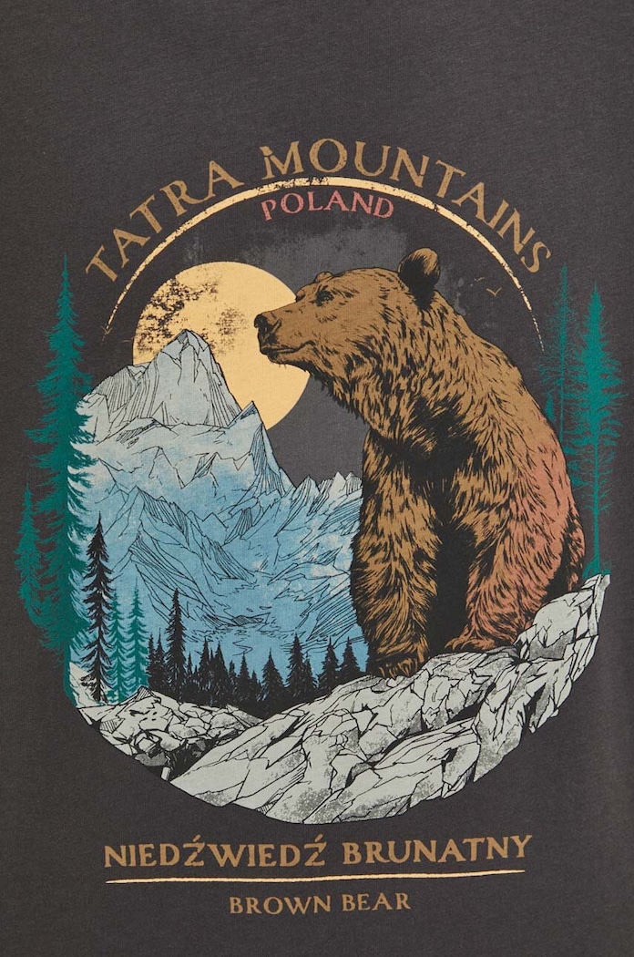 T-shirt bawełniany męski z kolekcji Tatrzański Park Narodowy x Medicine kolor szary RS24-TSMA53