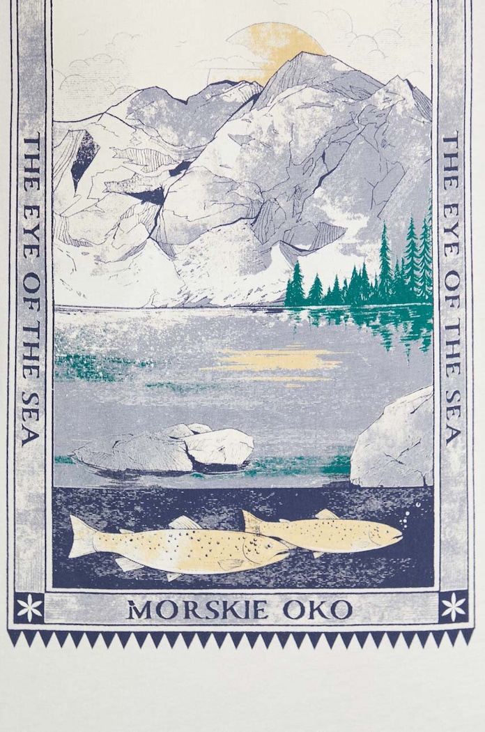 Bavlněné tričko pánské z kolekce Tatra National Park x Medicine béžová barva RS24-TSMA58