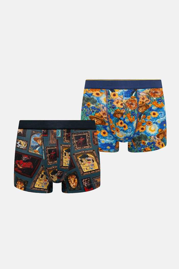 Bokserki bawełniane męskie z elastanem z kolekcji Dzień Kota (2-pack) kolor multicolor dzianina multicolor RS25-BIM350