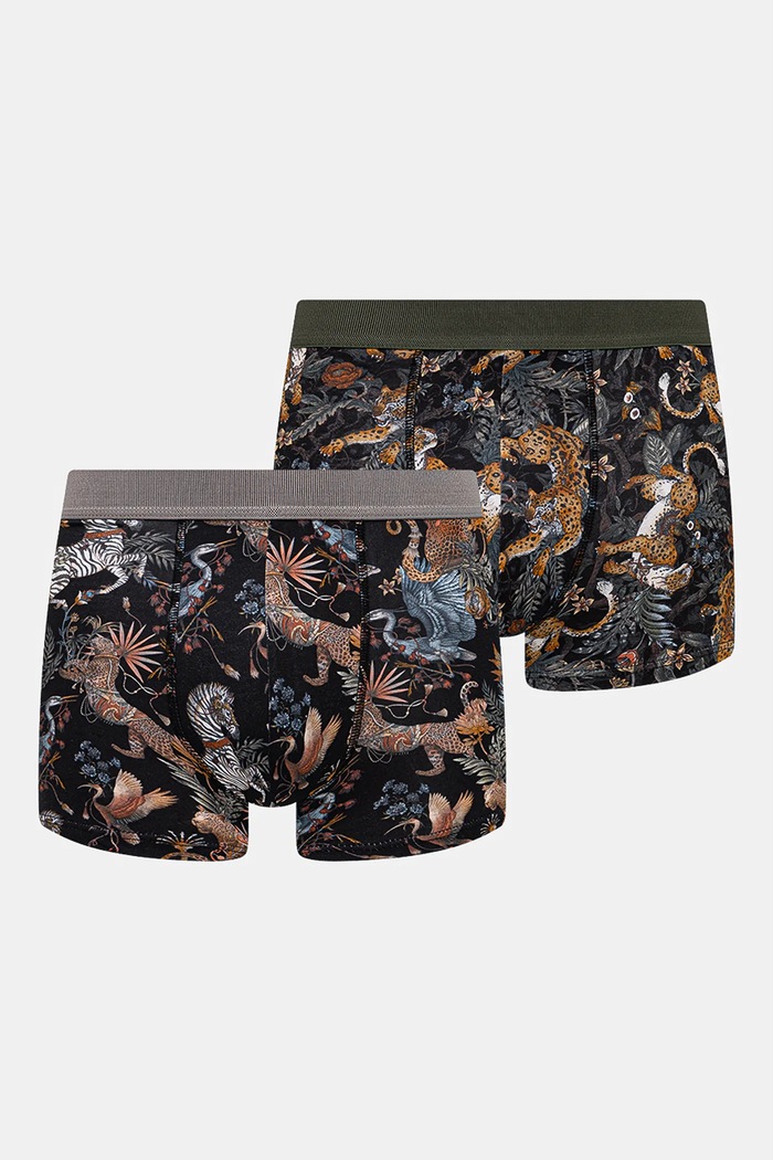 Bokserki bawełniane męskie z elastanem wzorzyste (2-pack) kolor multicolor dzianina multicolor RS25-BIM700