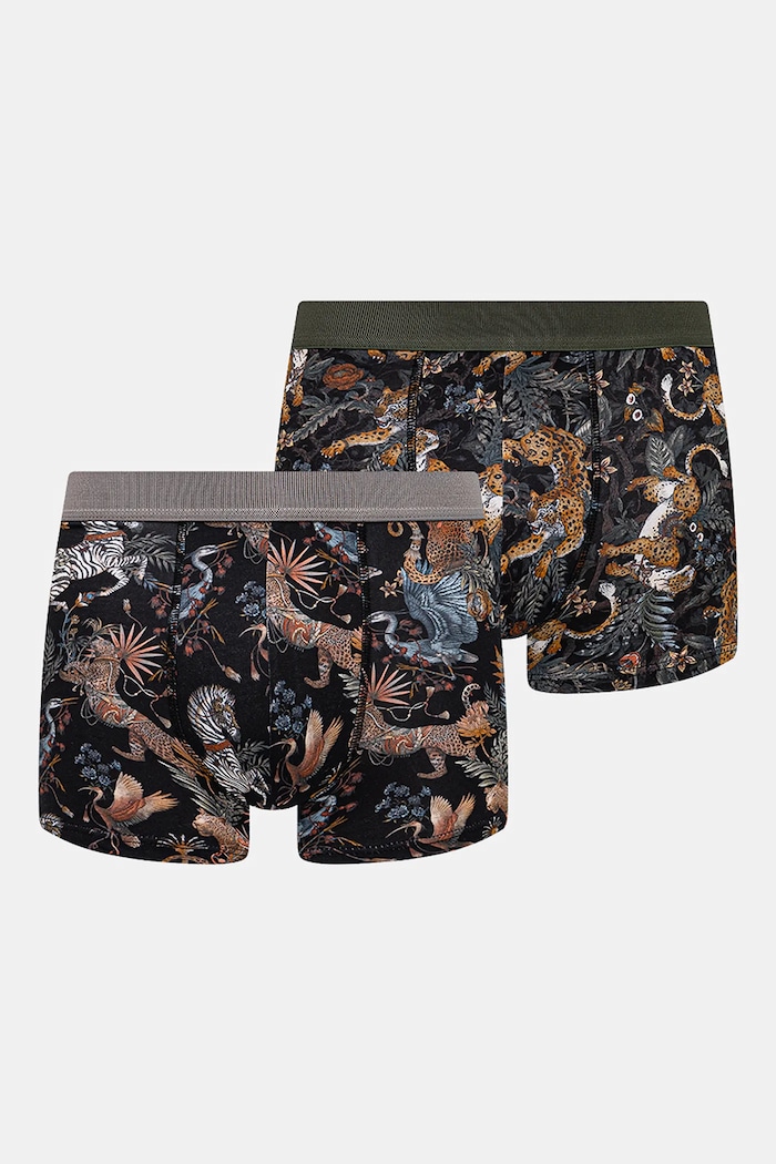 Bokserki bawełniane męskie z elastanem wzorzyste (2-pack) kolor multicolor dzianina multicolor RS25-BIM700