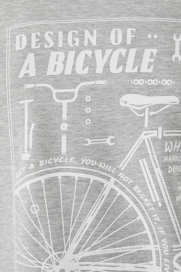 Mikina pánská s kapucí s potiskem šedá barva RS25.BLM603