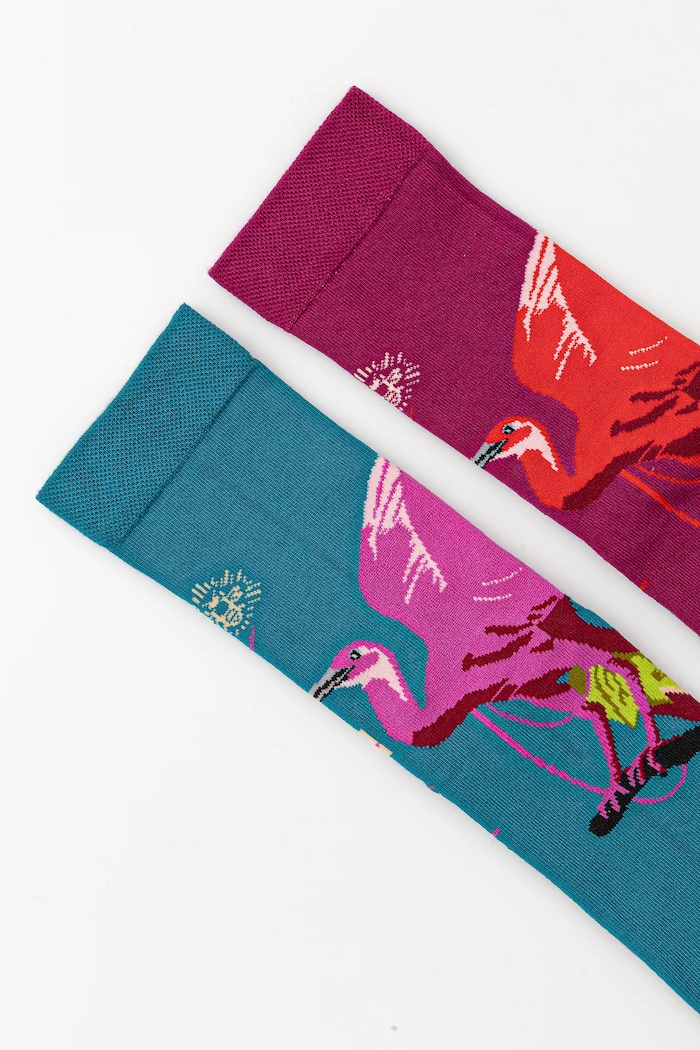 Odzież Skarpetki (2-pack) bawełniane damskie z kolekcji El Gato Chimney x Medicine kolor multicolor RS25.LGD850 multicolor