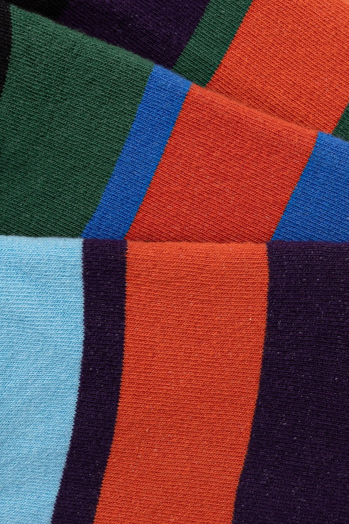 Skarpetki bawełniane męskie w pasy (2-pack) kolor multicolor RS25-LGM513 multicolor RS25