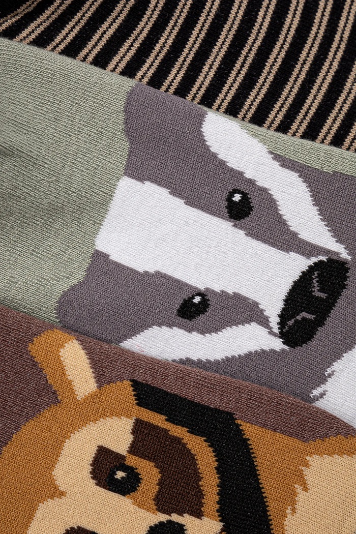 Skarpetki bawełniane męskie z motywem zwierzęcym (3-pack) kolor multicolor RS25-LGM515 multicolor RS25