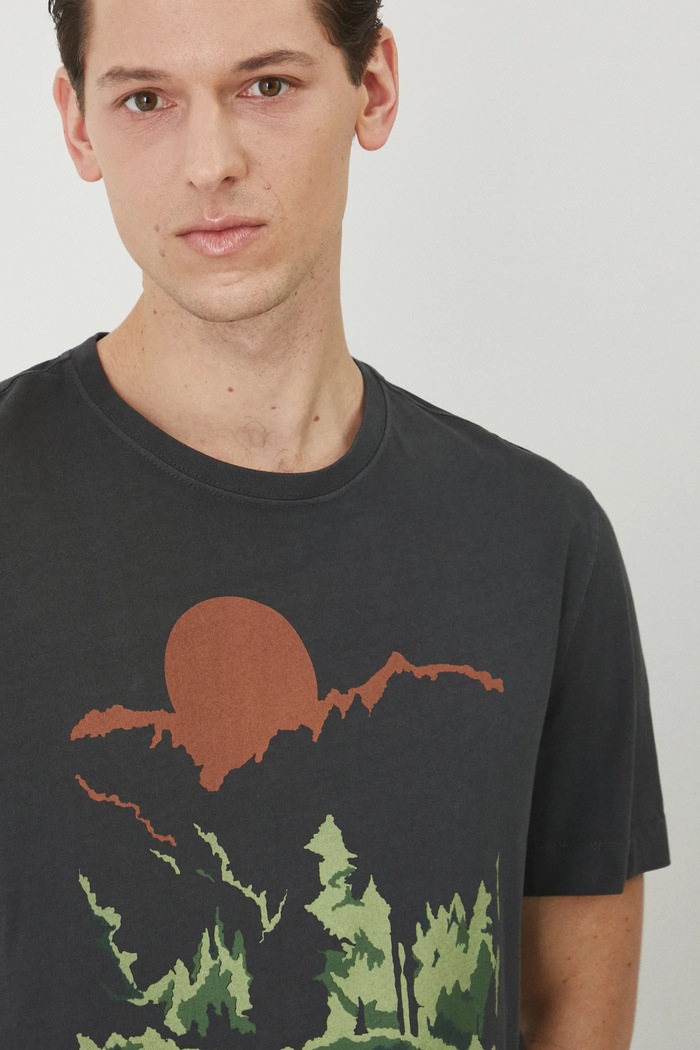 Bavlněné tričko Twin Peaks šedá barva šedá RS25.TSM675
