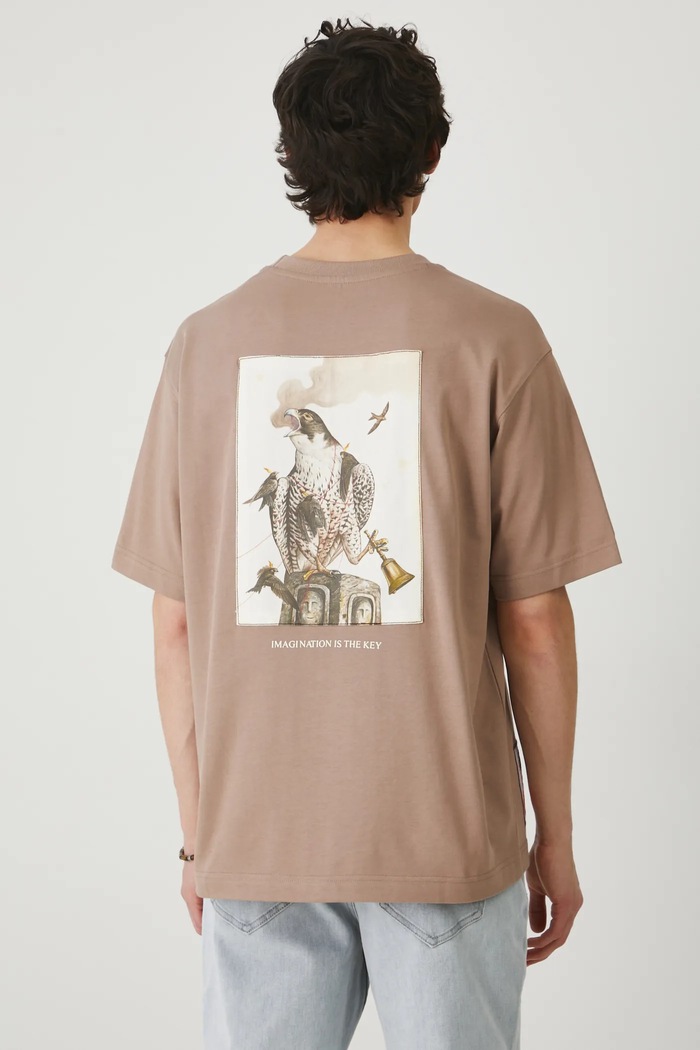 T-shirt bawełniany męski z kolekcji El Gato Chimney x Medicine kolor beżowy beżowy RS25-TSM850