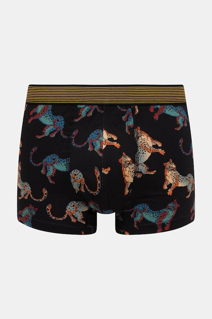 Oblečenie Bavlnené boxerky vzorované s elastanom (2-pack) RS26-BIM101 viacfarebná