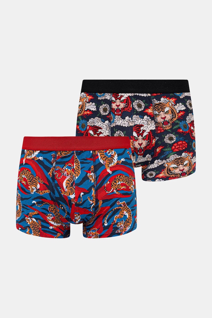 Bokserki bawełniane męskie z elastanem wzorzyste (2-pack) RS26-BIM301 multicolor RS26