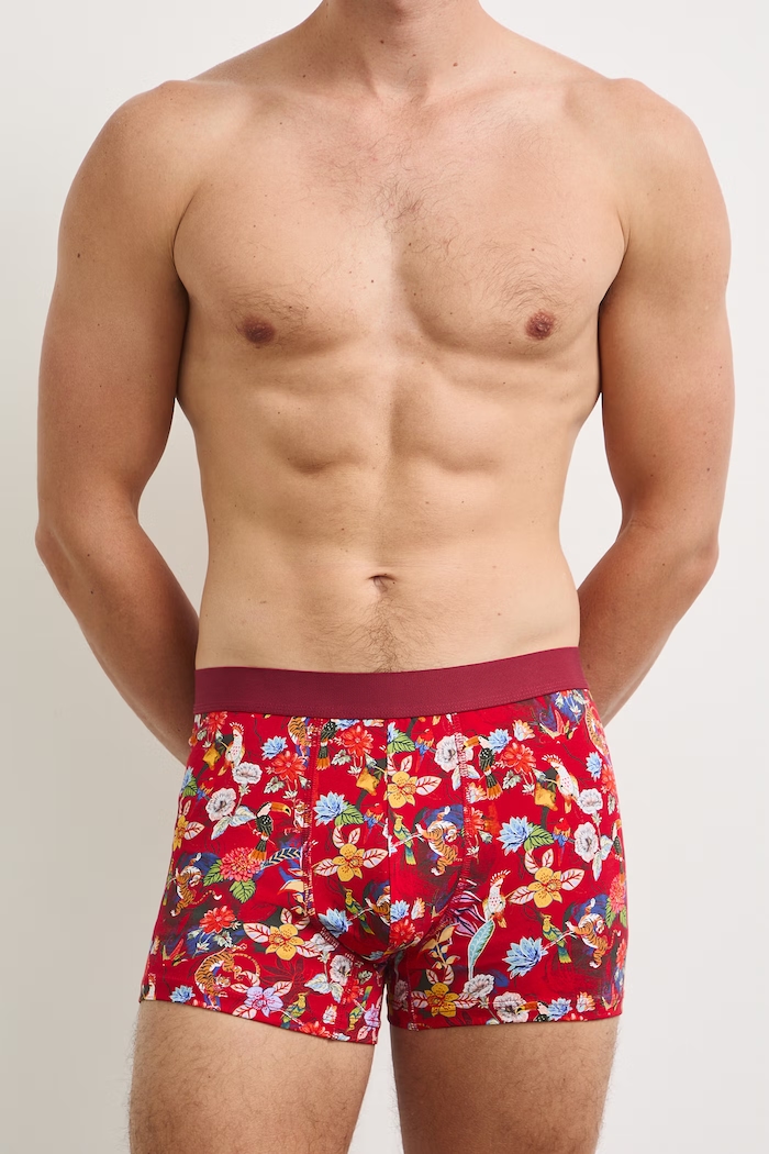 Boxerky pánské bavlněné s elastanem 2-pack RS26-BIM700