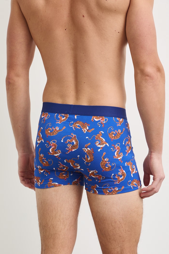 Boxerky pánské bavlněné s elastanem 2-pack RS26-BIM700