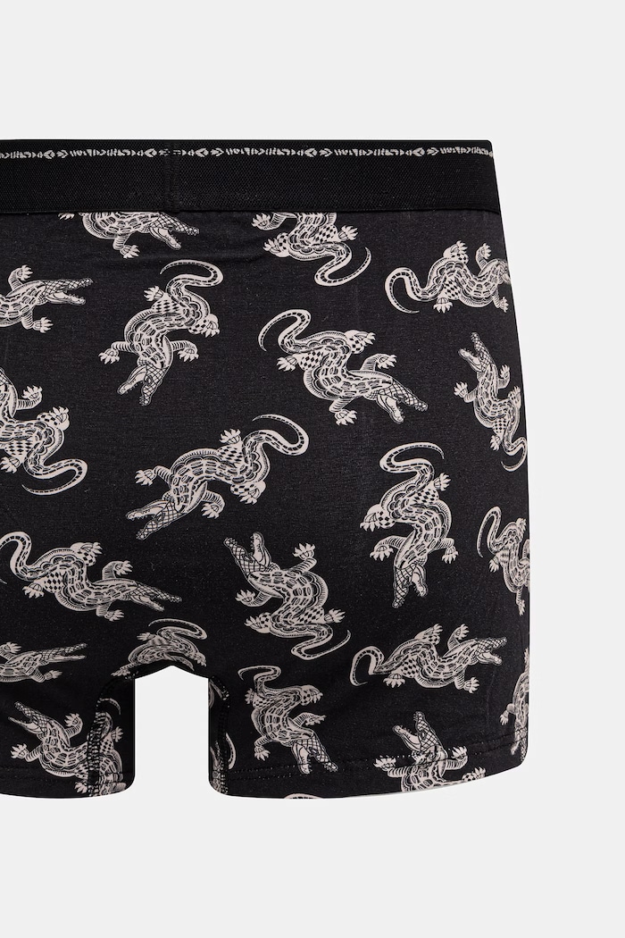 Boxerky pánské bavlněné s elastanem 2-pack RS26-BIMA02