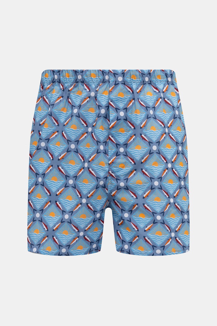 Oblečení Volné boxerky pánské bavlněné 2-pack RS26-BIMA03 modrá