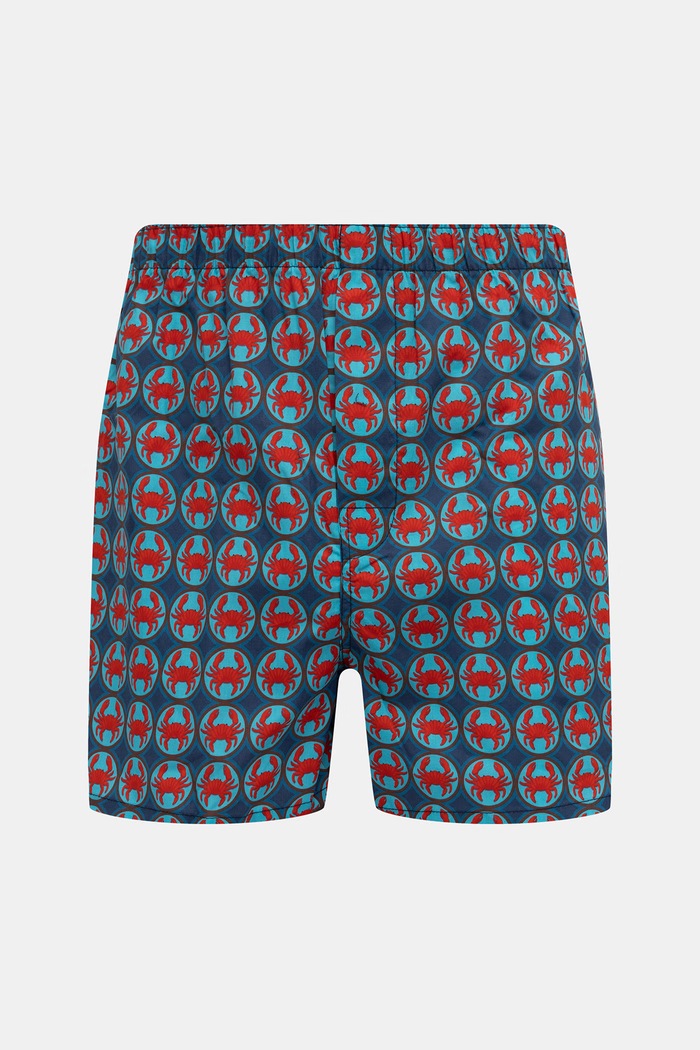 Volné boxerky pánské bavlněné 2-pack modrá RS26-BIMA03