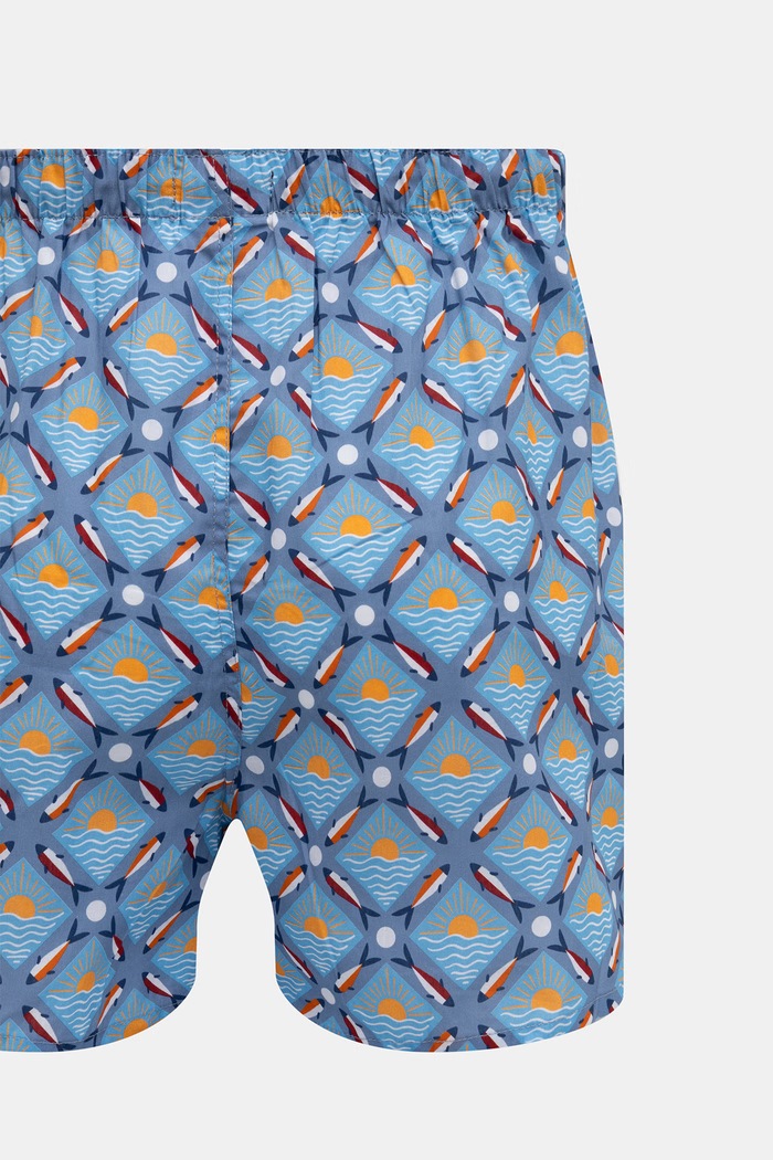 Volné boxerky pánské bavlněné 2-pack RS26-BIMA03 modrá