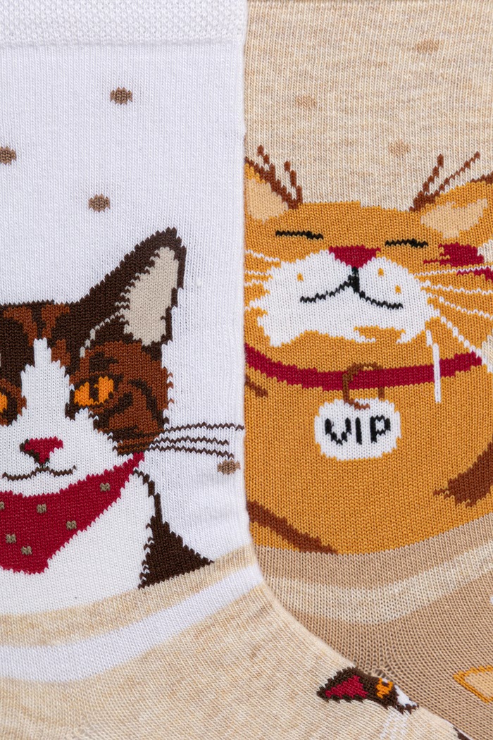 Skarpetki bawełniane damskie w koty (2-pack) RS26-LGD207 multicolor RS26