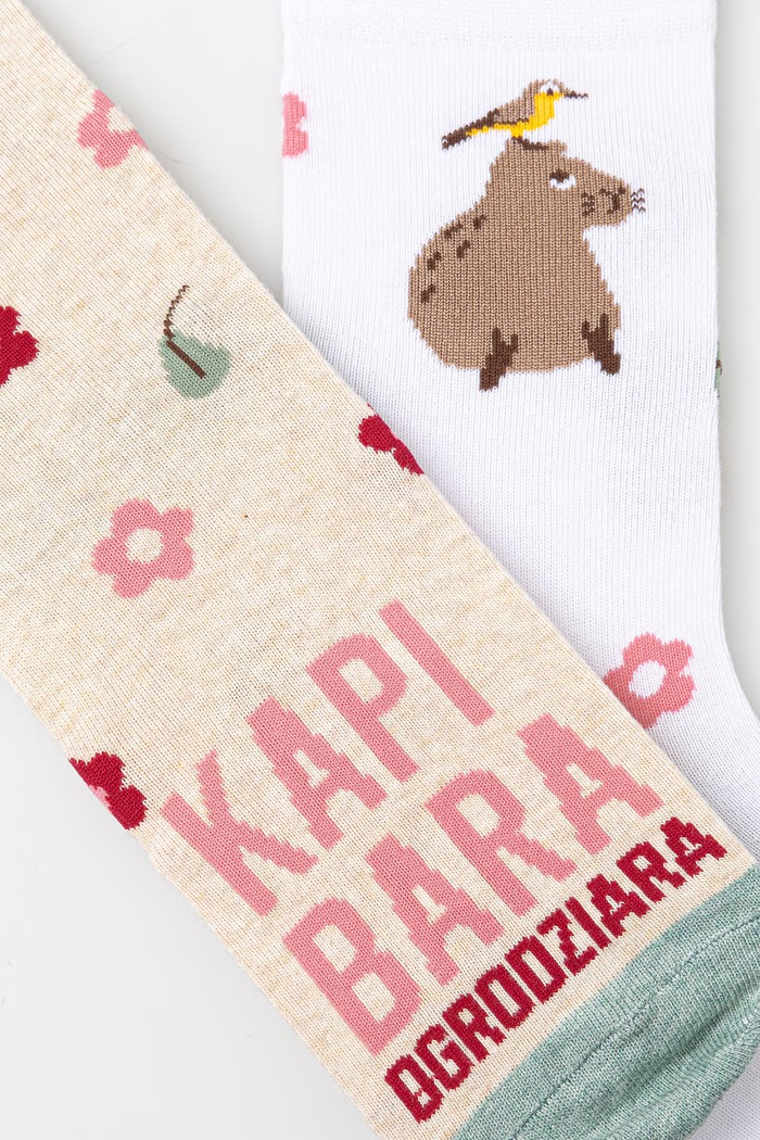 Odzież Skarpetki bawełniane damskie wzorzyste (2-pack) RS26-LGD513 multicolor
