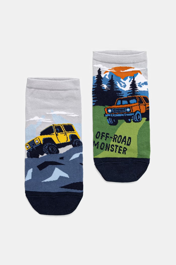 Skarpetki bawełniane męskie wzorzyste (2-pack) skarpetki krótkie multicolor RS26-LGM500