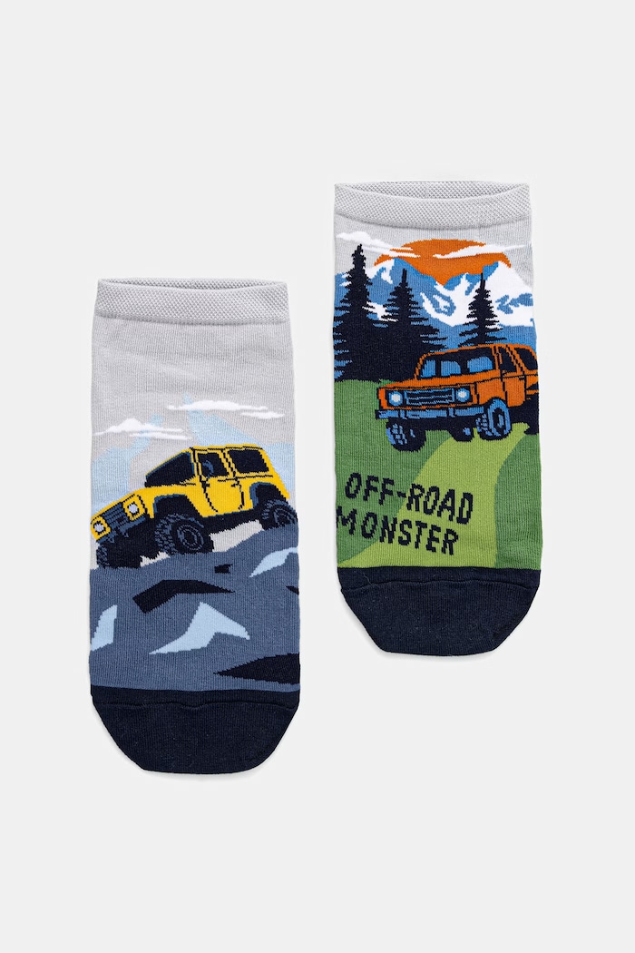 Skarpetki bawełniane męskie wzorzyste (2-pack) skarpetki krótkie multicolor RS26-LGM500