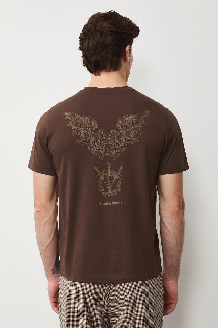 Odzież T-shirt bawełniany męski z nadrukami RS26-TSM303 brązowy