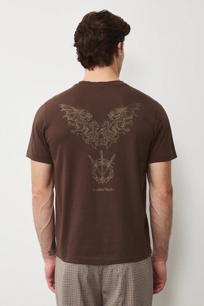 Odzież T-shirt bawełniany męski z nadrukami RS26-TSM303 brązowy