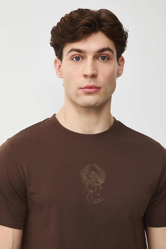 T-shirt bawełniany męski z nadrukami brązowy RS26-TSM303