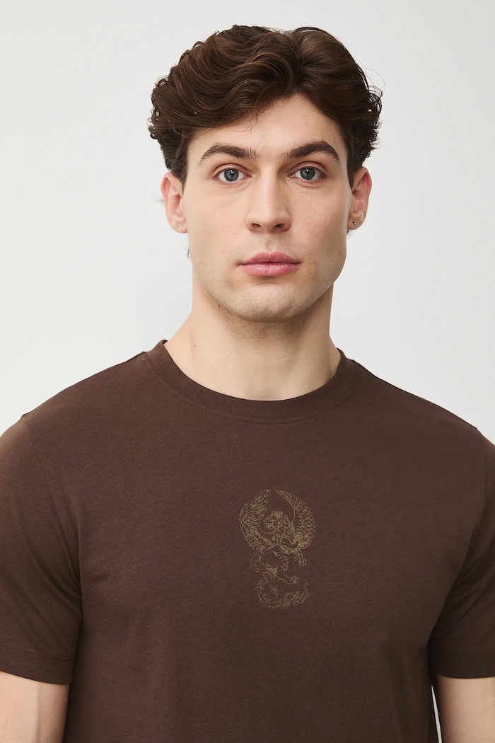 T-shirt bawełniany męski z nadrukami brązowy RS26-TSM303