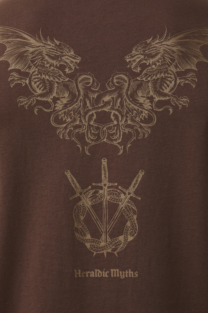 T-shirt bawełniany męski z nadrukami RS26-TSM303 brązowy