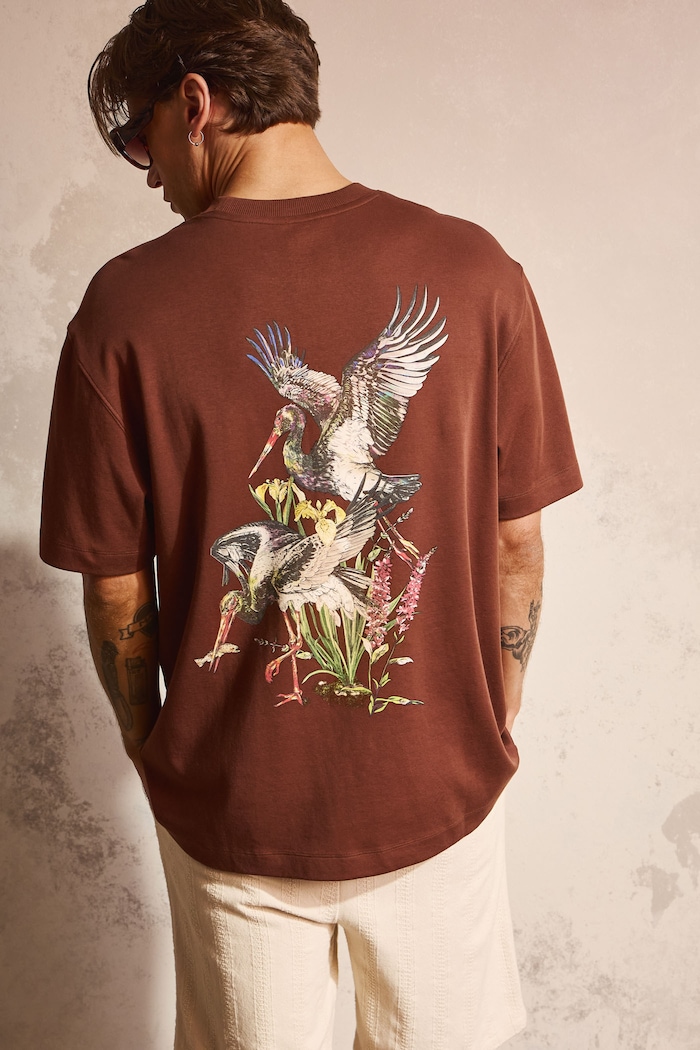T-shirt męski bawełniany z kolekcji Bieszczadzki Park Narodowy x Medicine brązowy RS26-TSM857