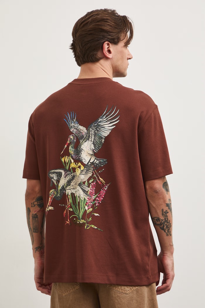 Odzież T-shirt męski bawełniany z kolekcji Bieszczadzki Park Narodowy x Medicine RS26-TSM857 brązowy