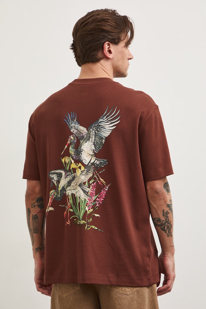 Odzież T-shirt męski bawełniany z kolekcji Bieszczadzki Park Narodowy x Medicine RS26-TSM857 brązowy