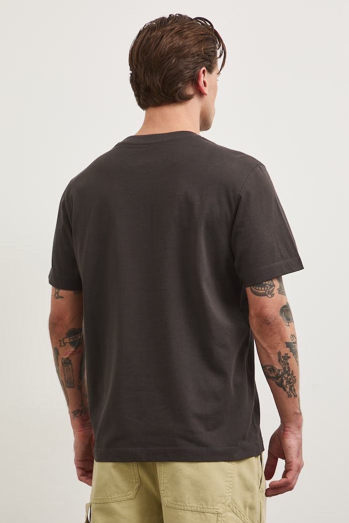 T-shirt męski bawełniany z nadrukiem z kolekcji Bieszczadzki Park Narodowy x Medicine szary RS26-TSM859