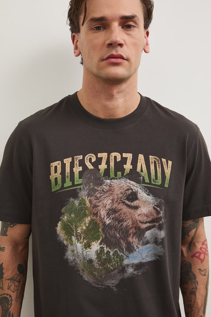 T-shirt męski bawełniany z nadrukiem z kolekcji Bieszczadzki Park Narodowy x Medicine RS26-TSM859 szary