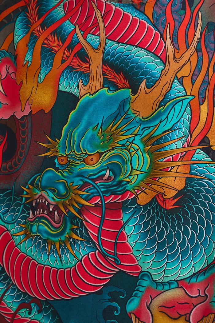Tričko pánske bavlnené s elastanom z kolekcie Tattoo Art by Tuan Nguyen RS26-TSMC52
