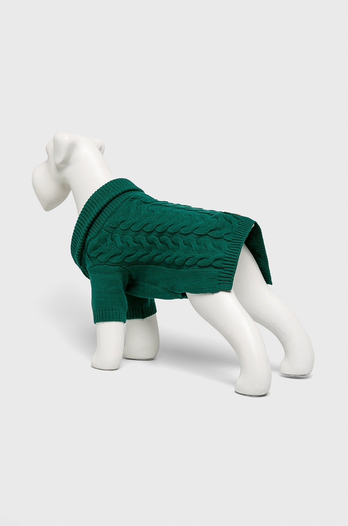 Sweter dla pupila zielony RW19.SWU400 zielony RW19