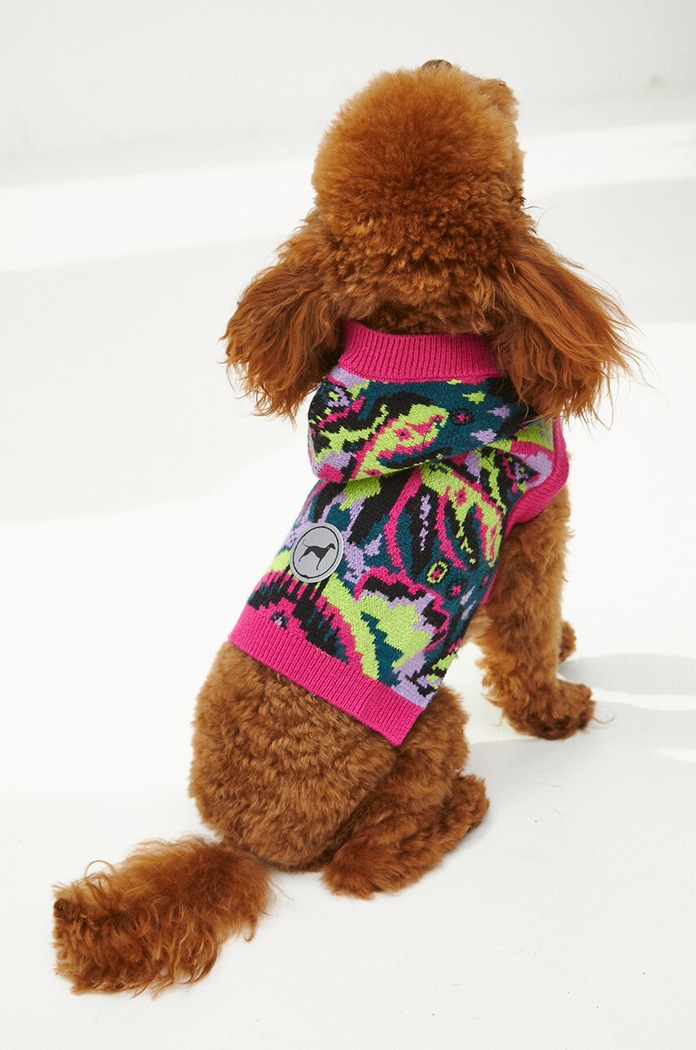 Sweter dla pupila wzorzysty multicolor RW23-SWU901