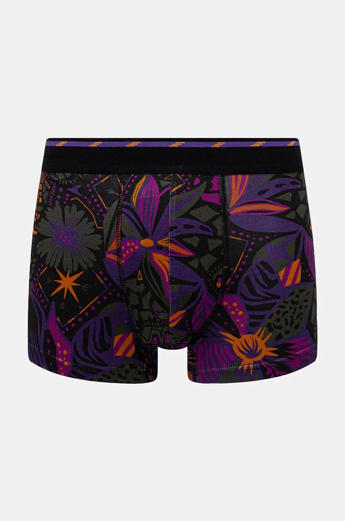 Bokserki bawełniane męskie z domieszką elastanu wzorzyste (2-pack) kolor multicolor RW24-BIM704 multicolor RW24