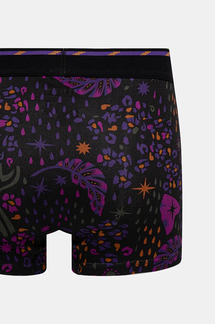 Bokserki bawełniane męskie z domieszką elastanu wzorzyste (2-pack) kolor multicolor RW24-BIM704 multicolor