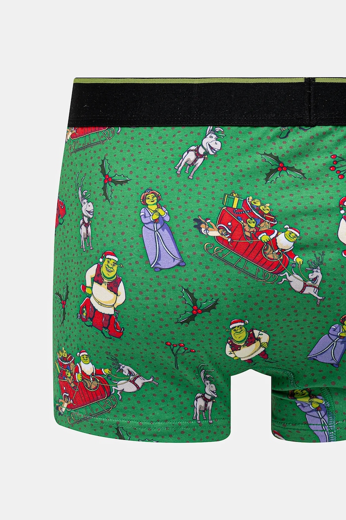 Bokserki bawełniane męskie z domieszką elastanu świąteczne Shrek (2-pack) kolor multicolor RW24.BIM950 multicolor