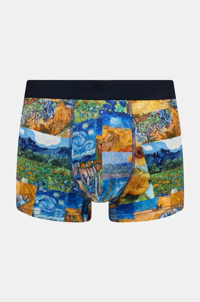 Oblečenie Bavlnené boxerky z kolekcie Eviva L'arte (3-pack) viac farieb RW24-BIM952 viacfarebná