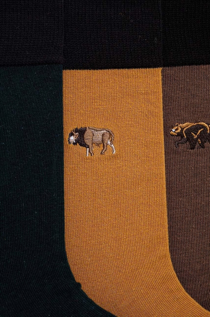 Odzież Skarpetki bawełniane męskie z ozdobnym haftem z motywem zwierzęcym (3-pack) kolor multicolor RW24.LGM406 multicolor
