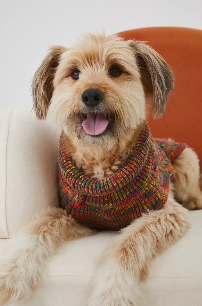 Akcesoria Sweter dla pupila z warkoczowym splotem kolor fioletowy RW24-SWU0A0 multicolor