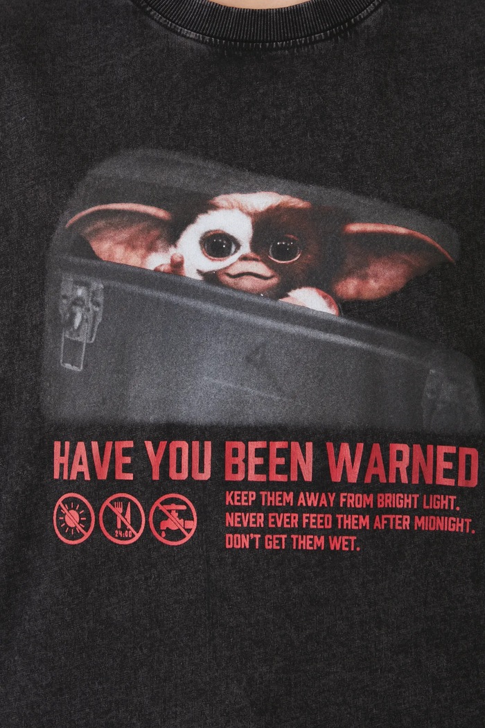 T-shirt bawełniany damski Gremlins 2 kolor szary RW24-TSDA73 szary