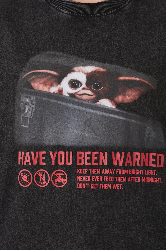T-shirt bawełniany damski Gremlins 2 kolor szary RW24-TSDA73 szary
