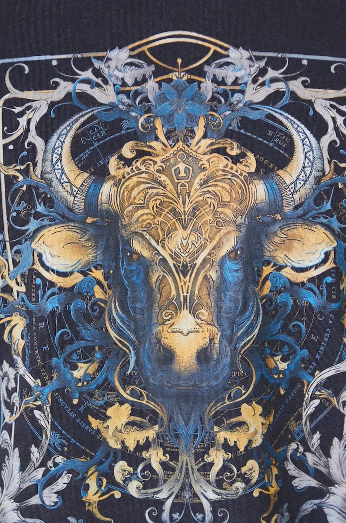 T-shirt bawełniany męski z kolekcji Zodiak - Byk kolor szary RW24-TSM958