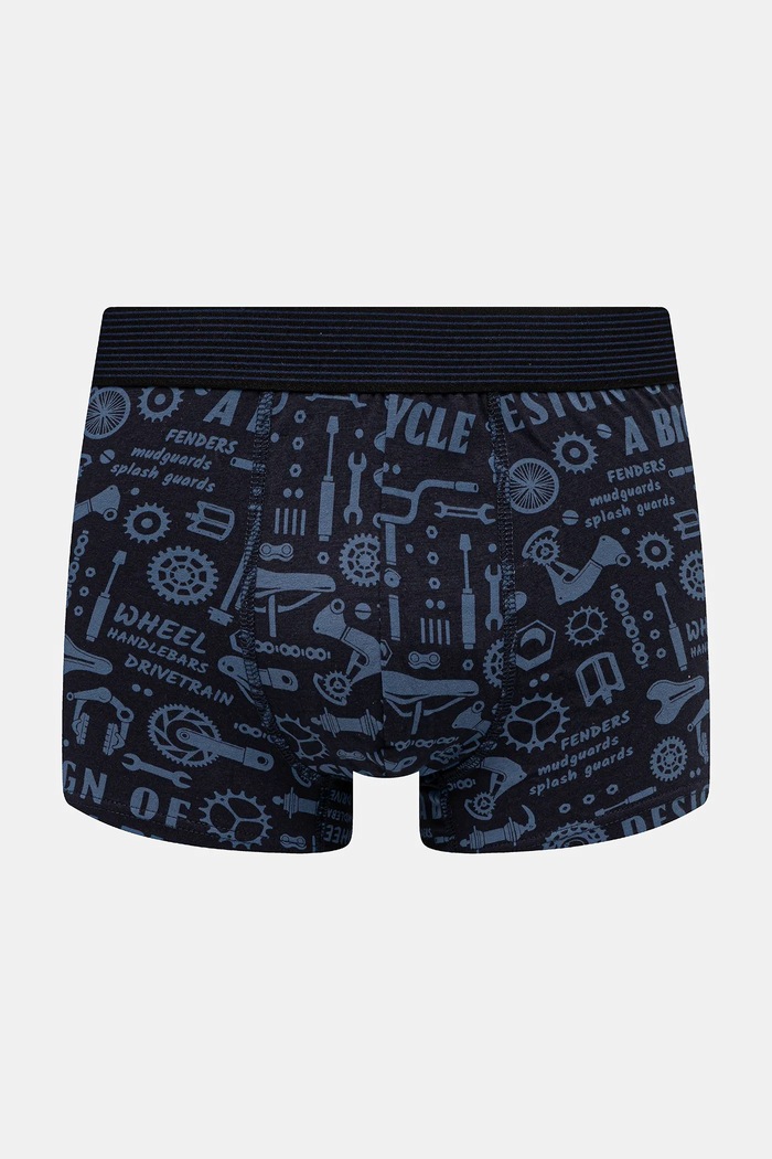 Bavlněné boxerky s elastanem a vzorem (2-pack) RW25-BIM104 vícebarevná RW25