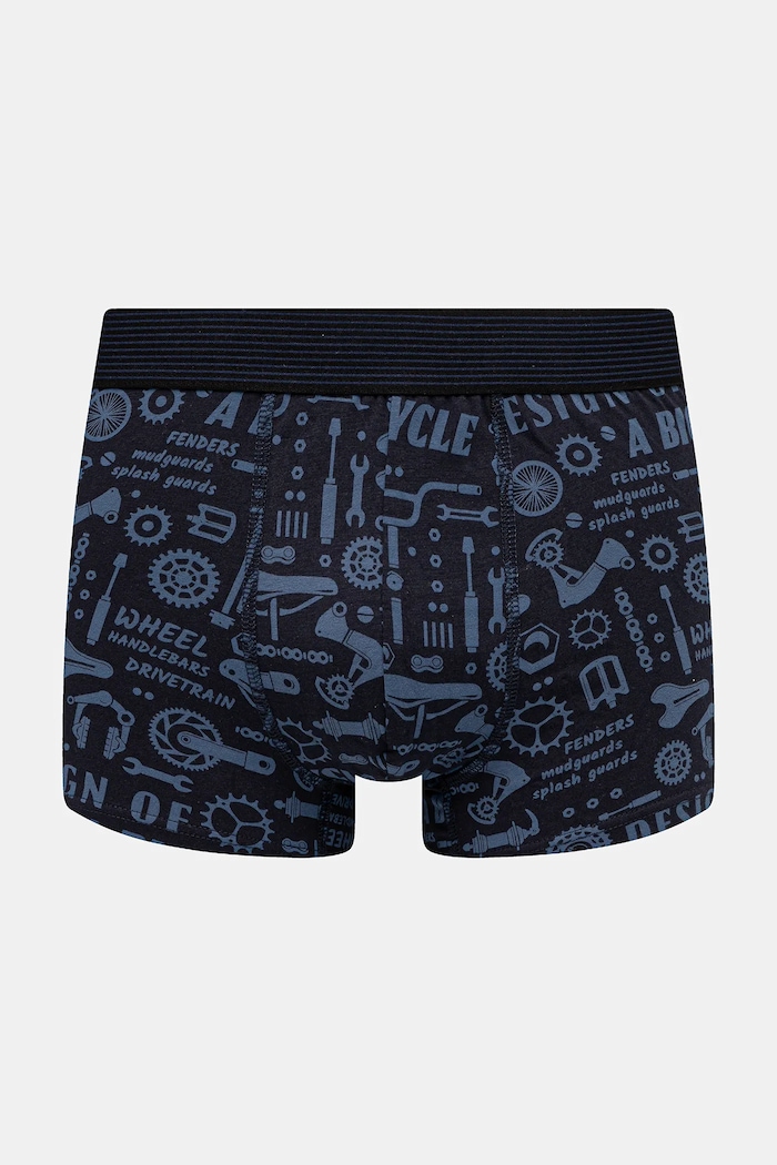 Bavlněné boxerky s elastanem a vzorem (2-pack) RW25-BIM104 vícebarevná RW25