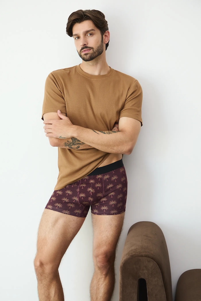 Bavlněné boxerky pánské s elastanem a vzorem (2-pack) 2-pack vícebarevná RW25-BIM105
