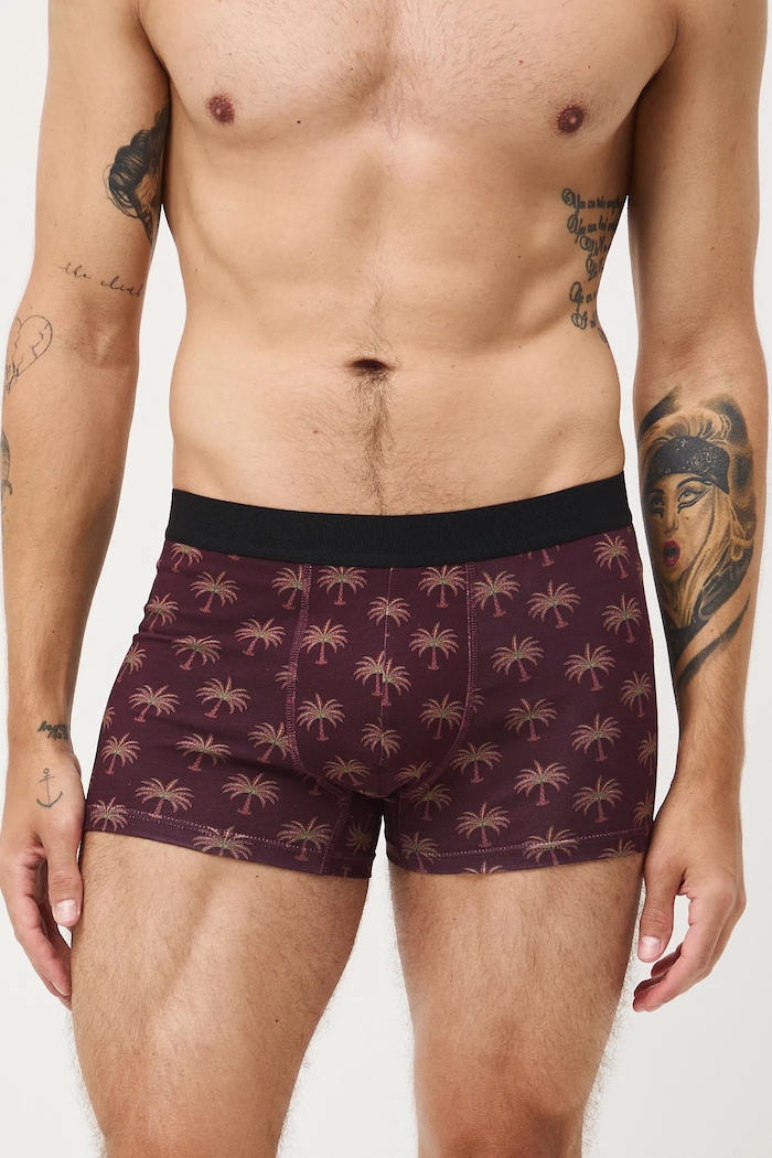 Bavlněné boxerky pánské s elastanem a vzorem (2-pack) RW25-BIM105